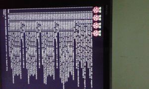 20170113_221232.jpg