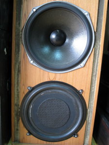 Celestion 66-b-RZ.jpg