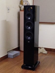 IMG_20170617_150022.jpg