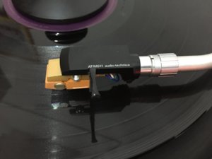 IMG_3517.JPG