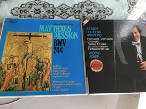 16CA975C-7CDF-4C47-83BC-4D071E8D5FA7.jpeg