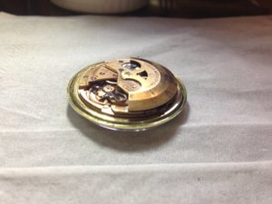 IMG_9604.JPG