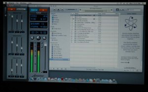 Amarra P1.jpg