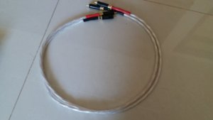 20180324_101412.jpg