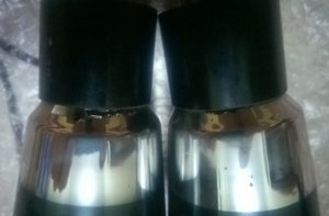 WP_20180617_007.jpg