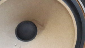 20181208_155705.jpg