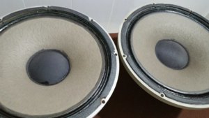 20181124_161837.jpg