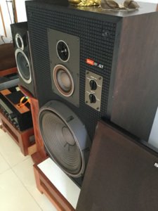 5BAE39C6-D7BD-48ED-B10A-FC9CEDA200E8.jpeg