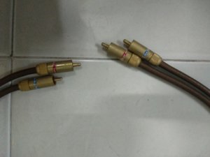 f5dd3a3360188446dd09.jpg
