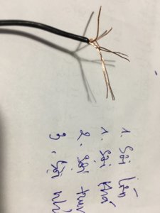 B286C095-10A2-48C0-9607-B1D0E17A87CE.jpeg