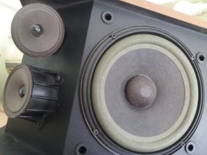 20190828_100249.jpg