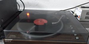 IMG_20190927_173508.jpg