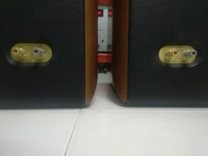 c7790cbfbbb65ce805a7.jpg