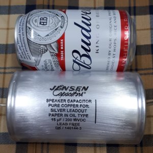 Jensen 15 uF 200v P1.jpg