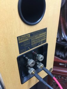 A7704D74-C8BD-4FCB-9EC7-2E08899E89F9.jpeg