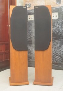 proac 2.jpg