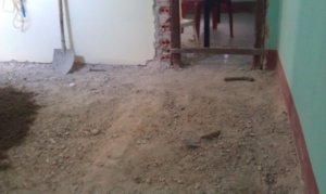 IMAG0564.jpg