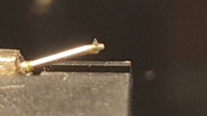 20200508_171859.jpg