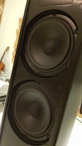 IMG_20200813_094524.jpg