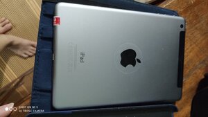 IMG_20201118_195401.jpg