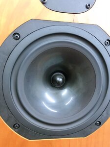 z2009886134076_43fda3d0f21d44660da3088ac3494e5e (1).jpg