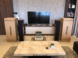 Dynaudio 1.jpg