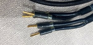 z2288147711705_5906f421ca053005647693729083c8f3.jpg