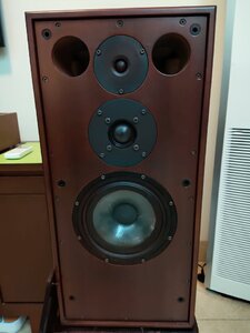 IMG_20210208_095538_181.jpg