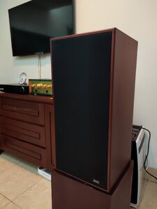 IMG_20210208_095459_894.jpg