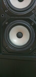 20210322_170250.jpg