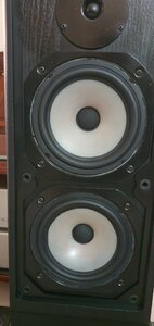 20210322_170241.jpg