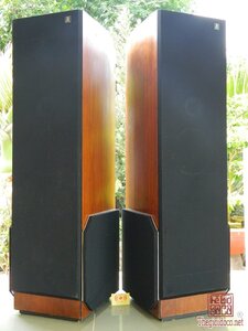 Loa AR9  (2).jpg