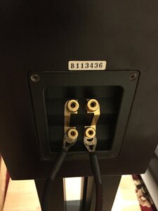 FFDF1CAA-5993-4E85-A9F2-0550A828906B.jpeg