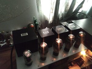 IMG_20210409_072738395.jpg