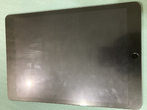 IMG_0429.jpeg