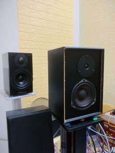 IMG_0608.jpg