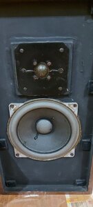 IMG_20210610_000405.jpg