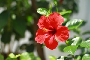 IMG_9422.JPG