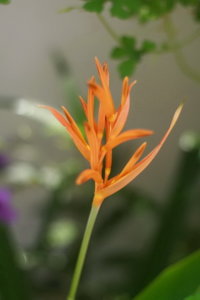 IMG_9429_2.jpg