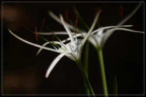 IMG_9513_3.jpg