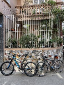 IMG_1905.jpeg