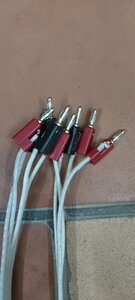 Ảnh ngày 14.2 (4).jpg