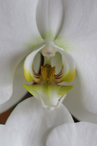 20120612120202.jpg