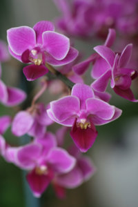 20120612120450.jpg