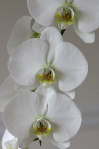 20120612120852.jpg