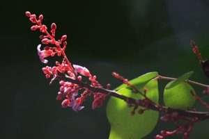 IMG_4671.JPG