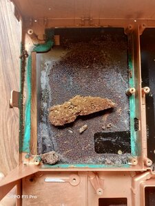 05D1685B-0393-44E8-BEBB-671315F1F932.jpeg