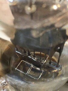 z3388418879978_53c8cb580756eb4317f8959a3b94874a.jpg
