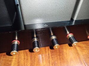 IMG_20220703_153723.jpg