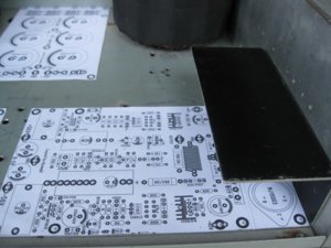 IMG_3364 (800 x 600).jpg